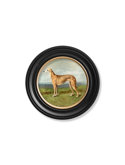 C.1881 WORKING DOGS - ROUND FRAME - TheArtistsQuarter