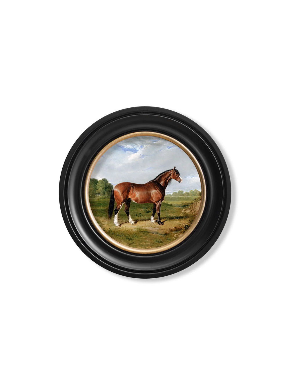 c.1840 Horses - Round Frame - TheArtistsQuarter