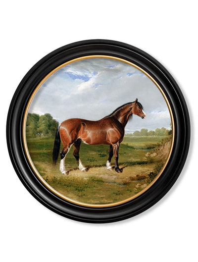 C.1840 HORSES - ROUND FRAME - TheArtistsQuarter
