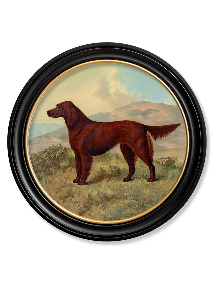 c.1881 Working Dogs - Round Frame - TheArtistsQuarter