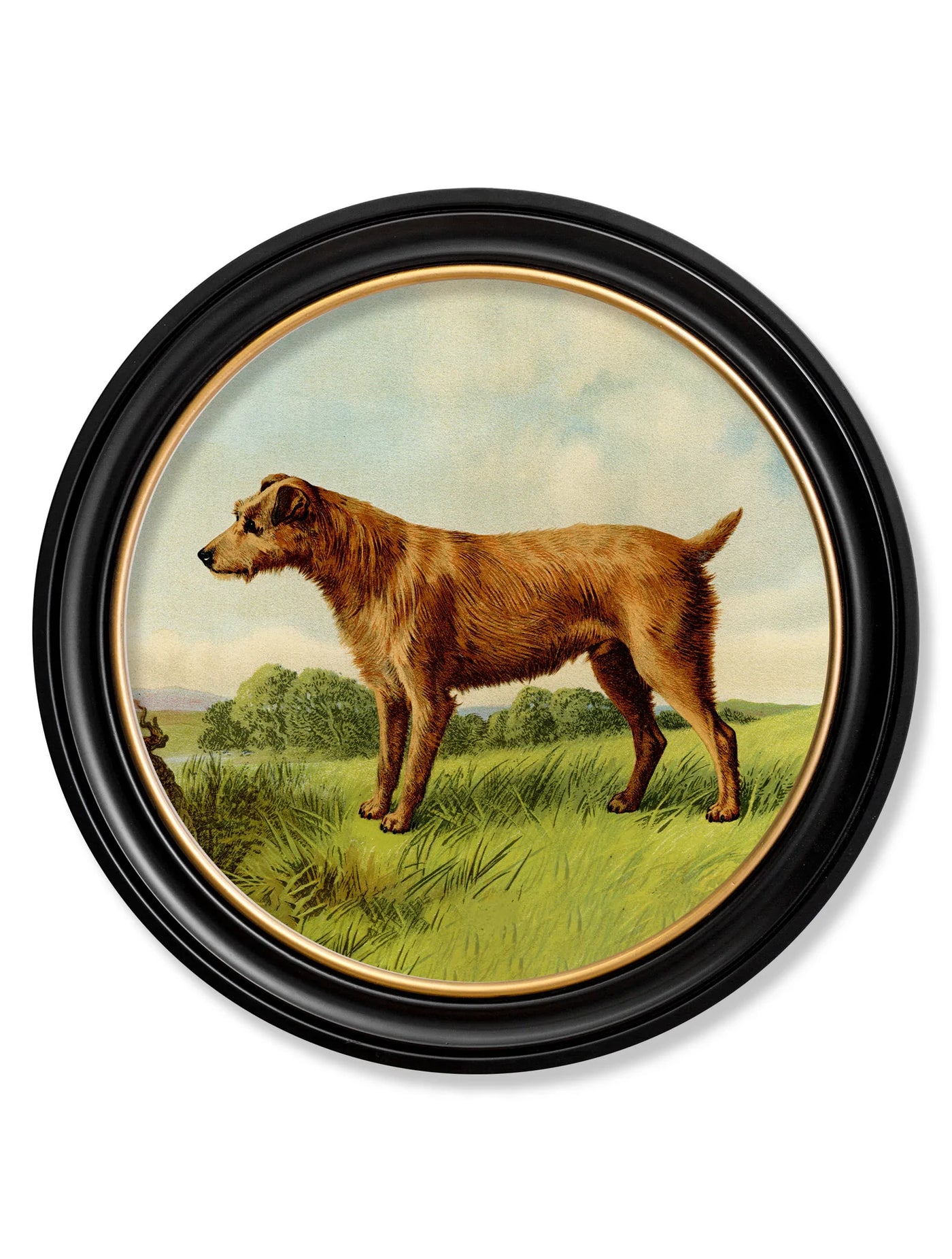 C.1881 TERRIERS - ROUND FRAME - TheArtistsQuarter