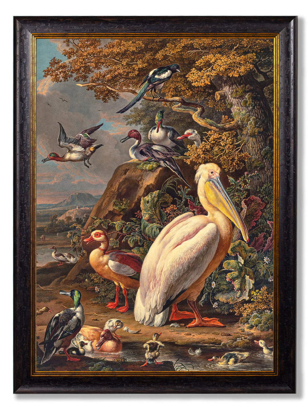 c.1683 Pelican Painting Cancelled Order - TheArtistsQuarter