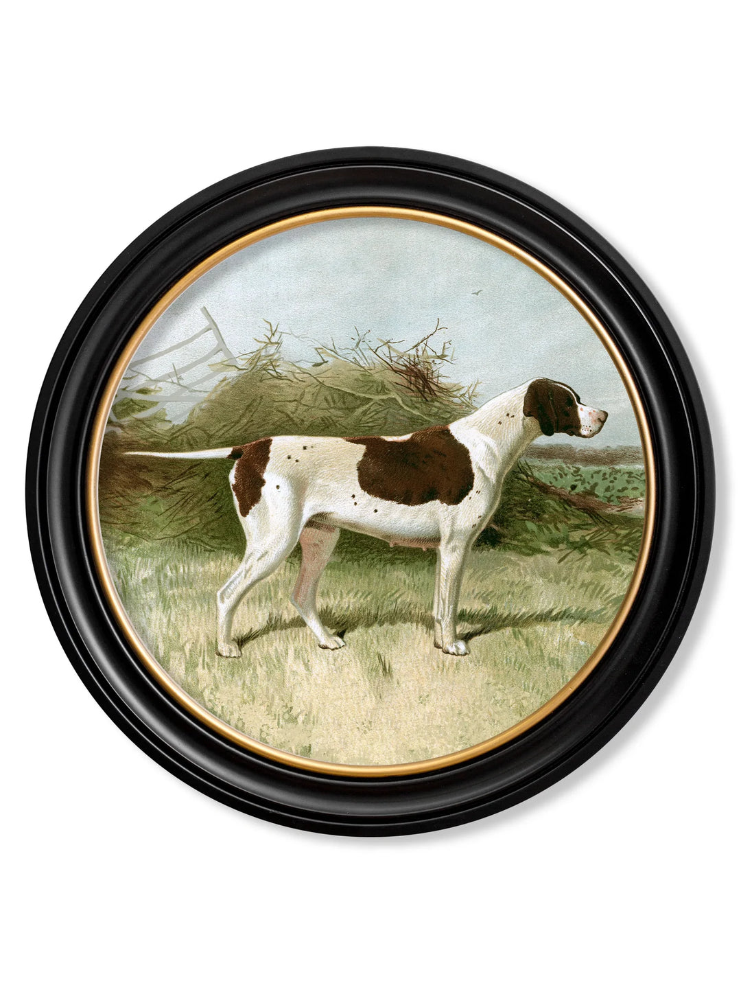 c.1881 Gun Dogs - Round Frame - TheArtistsQuarter