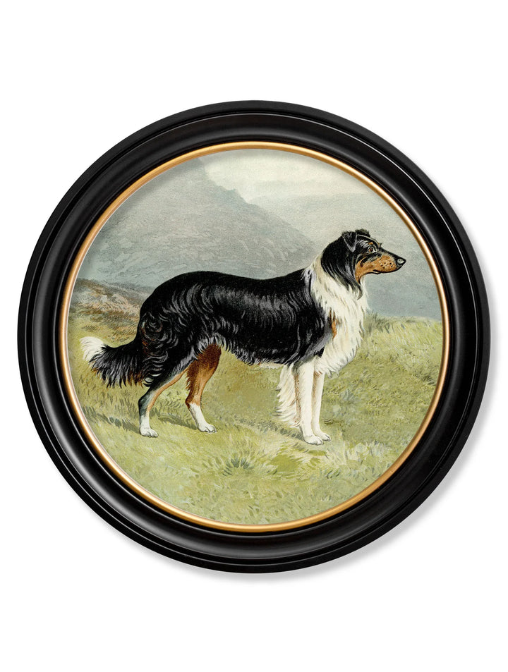 c.1881 Working Dogs - Round Frame - TheArtistsQuarter