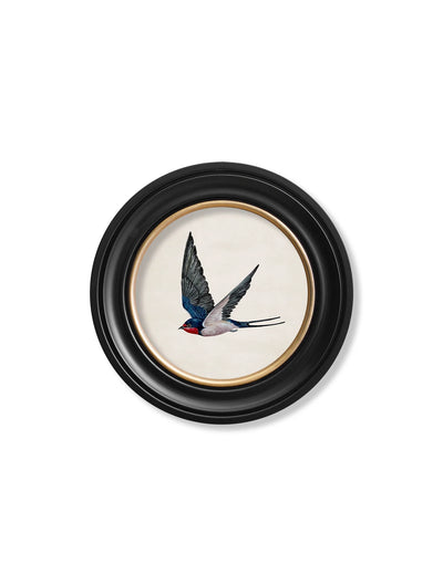 Swallows In Round Frames - TheArtistsQuarter