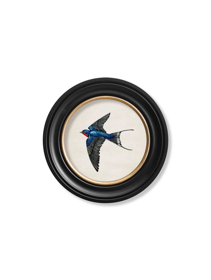 Swallows In Round Frames - TheArtistsQuarter