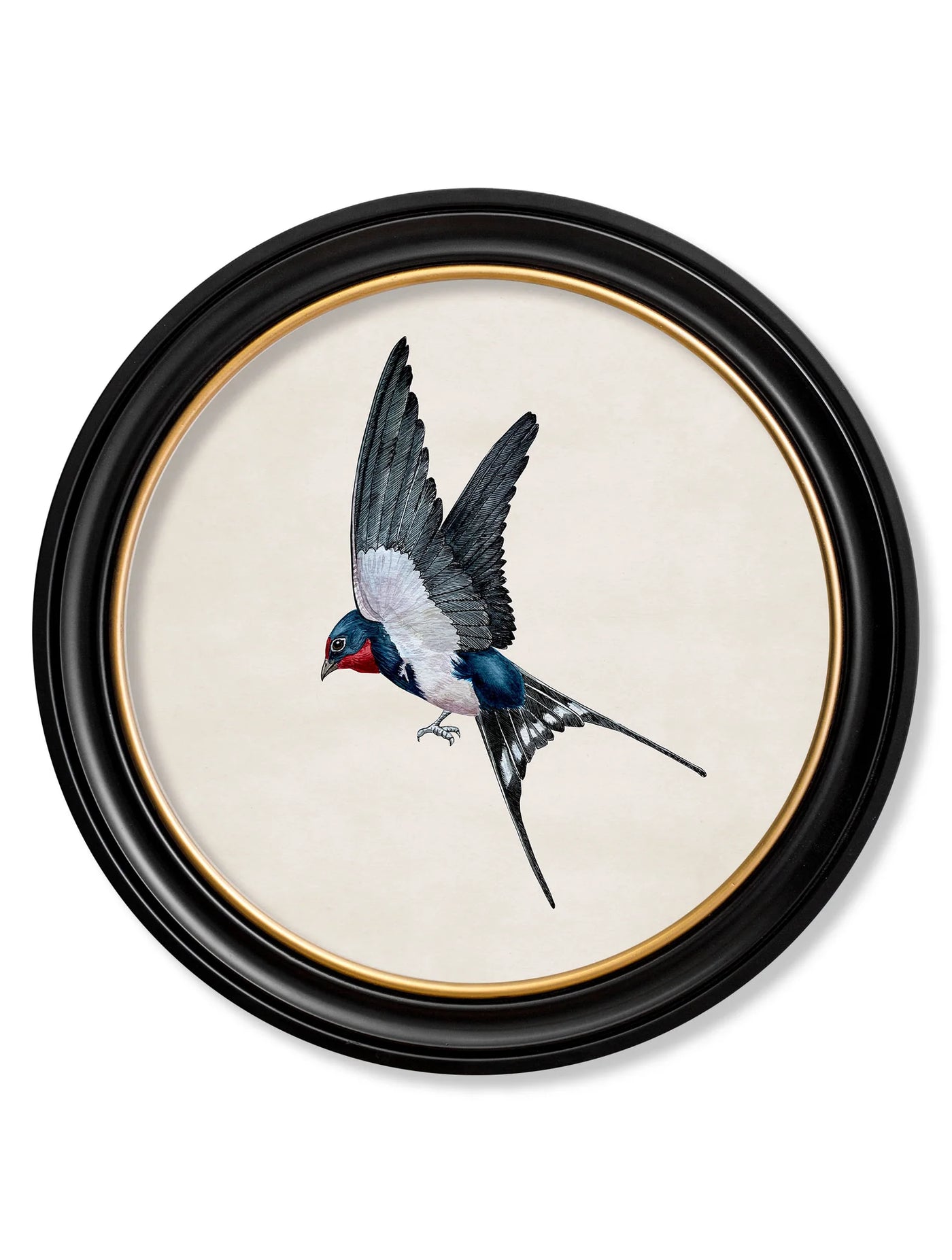 Swallows In Round Frames - TheArtistsQuarter