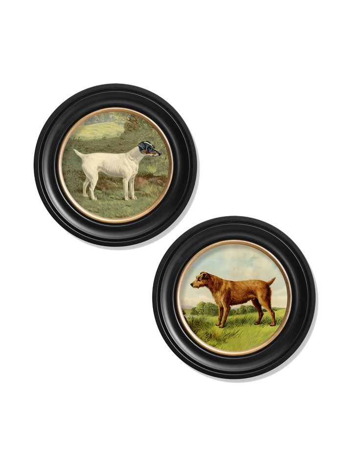 c.1881 Terriers - Round Frame - TheArtistsQuarter