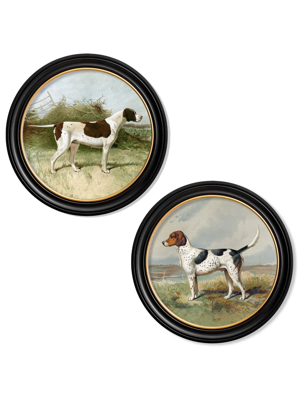 c.1881 Gun Dogs - Round Frame - TheArtistsQuarter