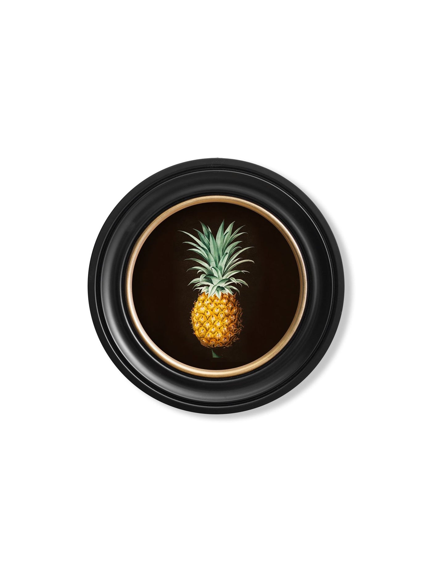C.1812 PINEAPPLE STUDY - ROUND FRAME - TheArtistsQuarter