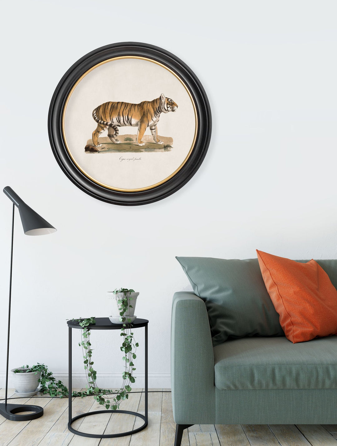 c.1824 Tiger - Round Frame - TheArtistsQuarter