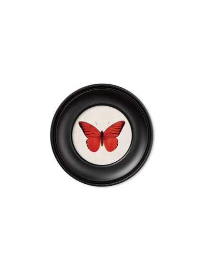 C.1835 COLLECTION OF BUTTERFLIES IN SMALL ROUND FRAMES - TheArtistsQuarter