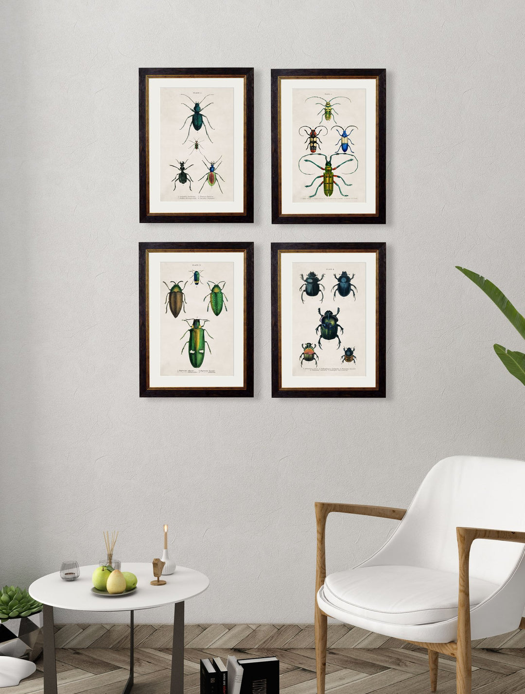 c.1836 Studies of Beetles - TheArtistsQuarter