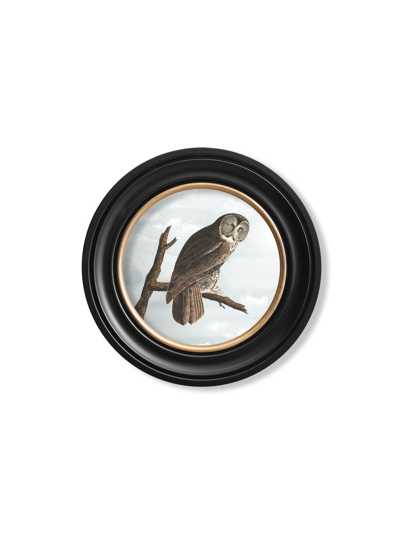 C.1838 AUDUBON'S OWLS - ROUND FRAME - TheArtistsQuarter