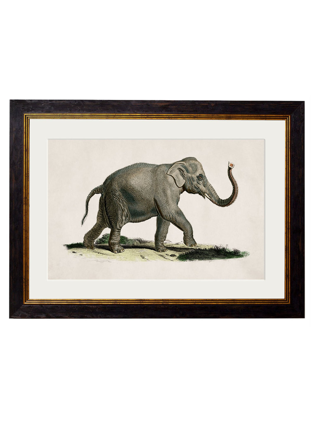 c.1846 Elephants - TheArtistsQuarter