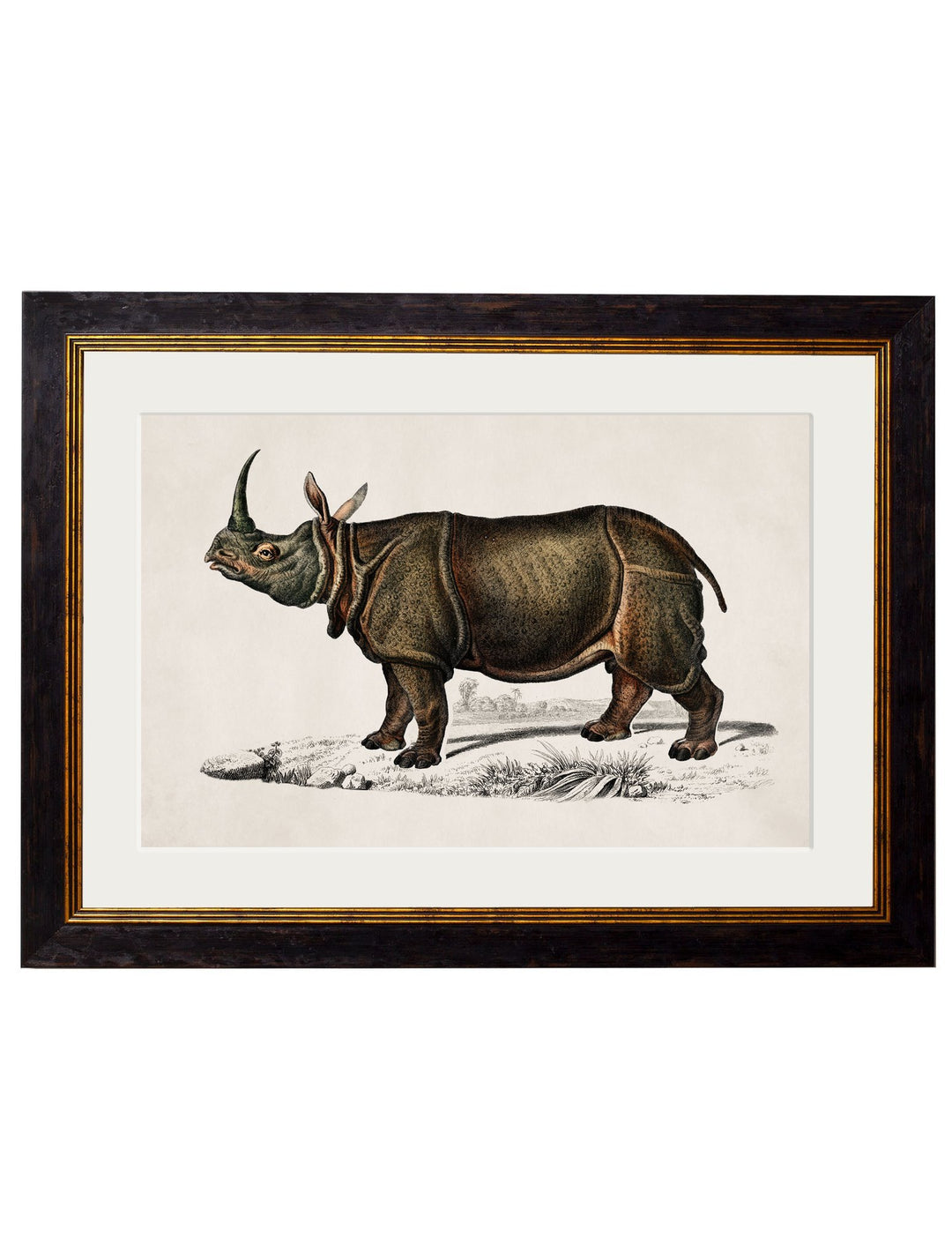 c.1846 Rhino & Hippo - TheArtistsQuarter