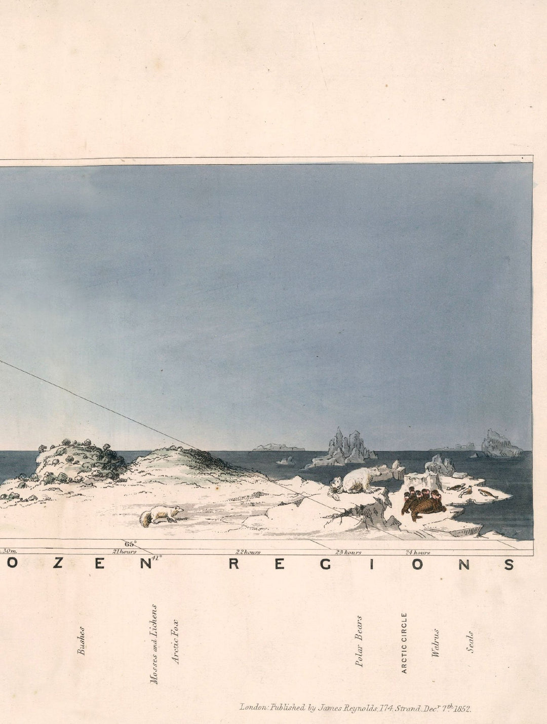 c.1852 View of Nature in all Climates - From the Equator to the Arctic Circle - TheArtistsQuarter