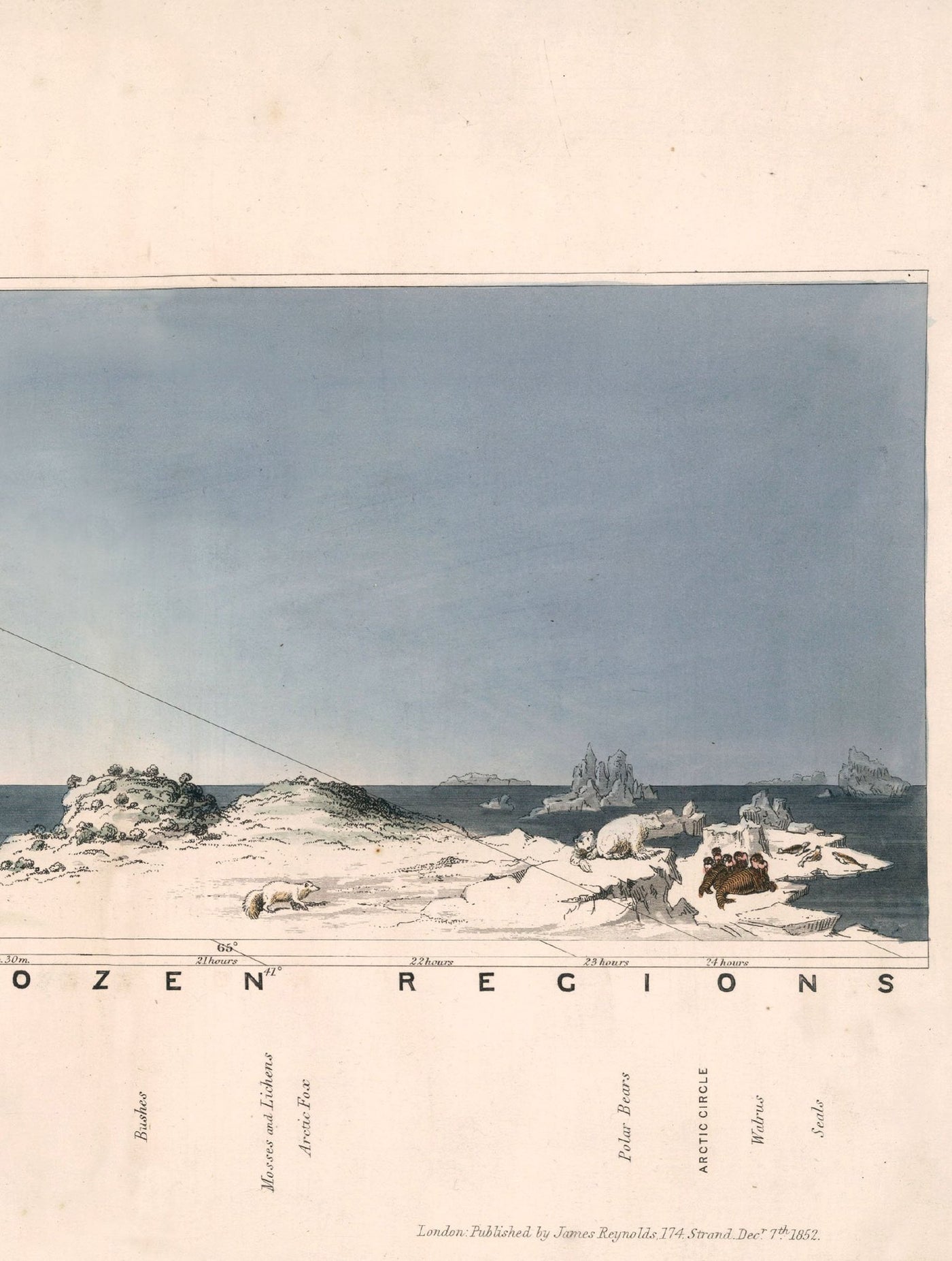 C.1852 VIEW OF NATURE IN ALL CLIMATES - FROM THE EQUATOR TO THE ARCTIC - TheArtistsQuarter