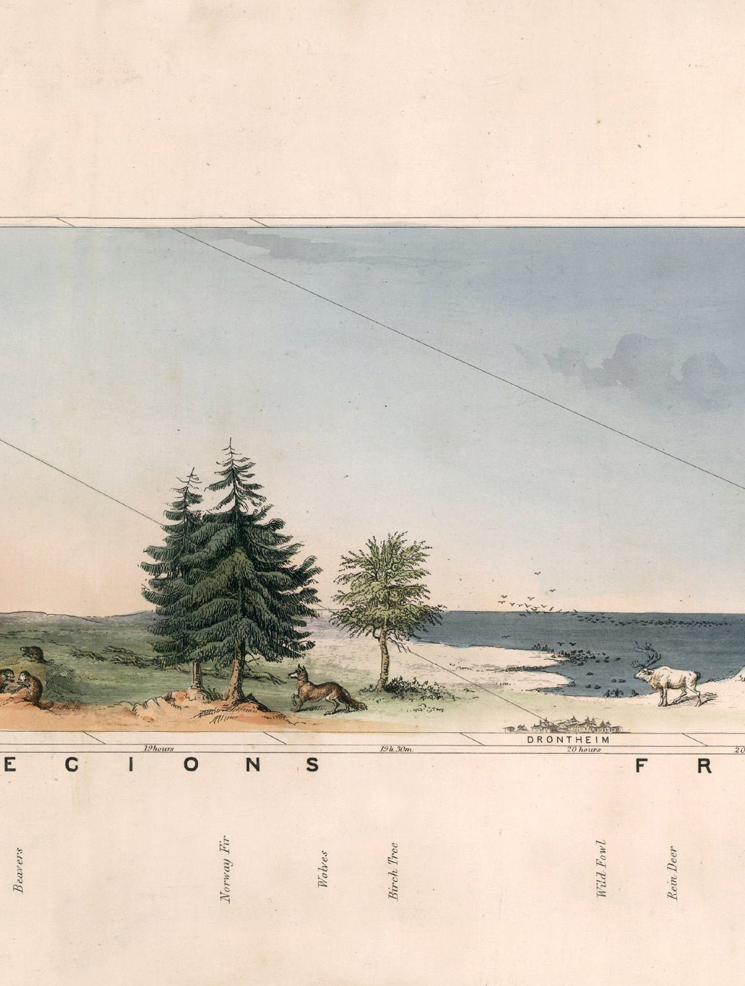 c.1852 View of Nature in all Climates - From the Equator to the Arctic Circle - TheArtistsQuarter