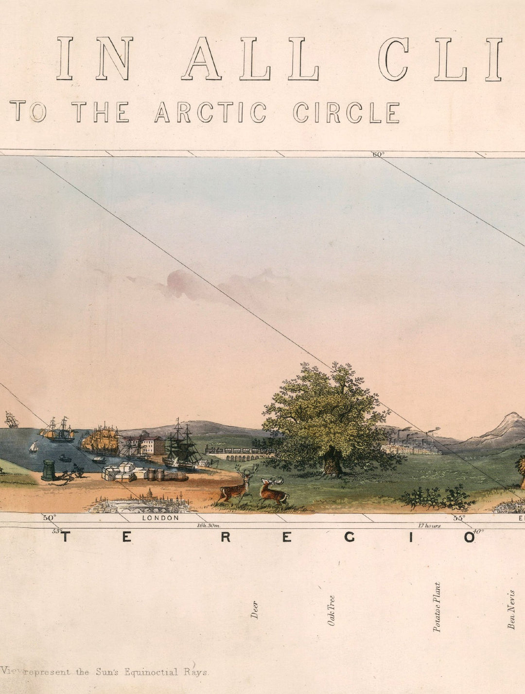 c.1852 View of Nature in all Climates - From the Equator to the Arctic Circle - TheArtistsQuarter