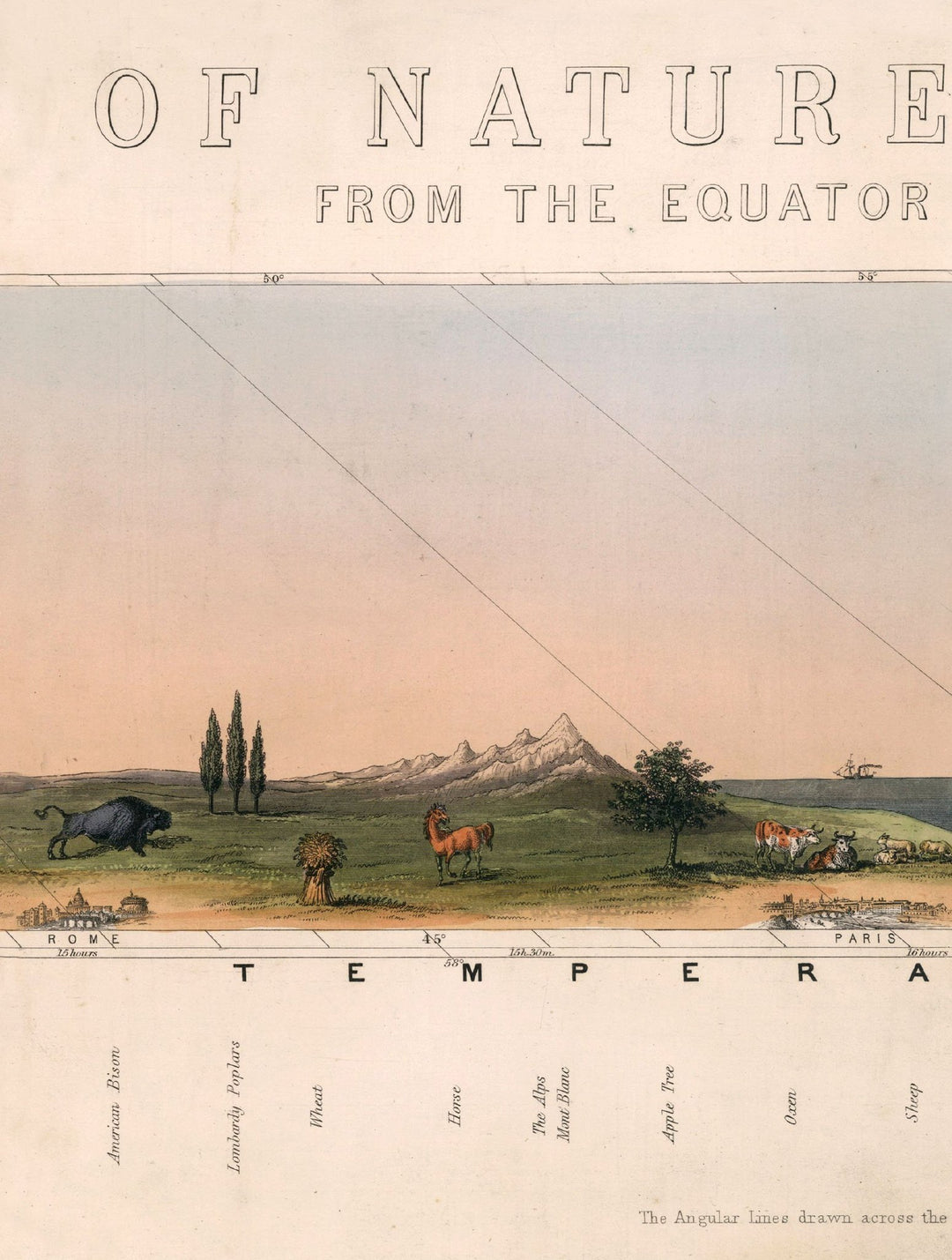 c.1852 View of Nature in all Climates - From the Equator to the Arctic Circle - TheArtistsQuarter