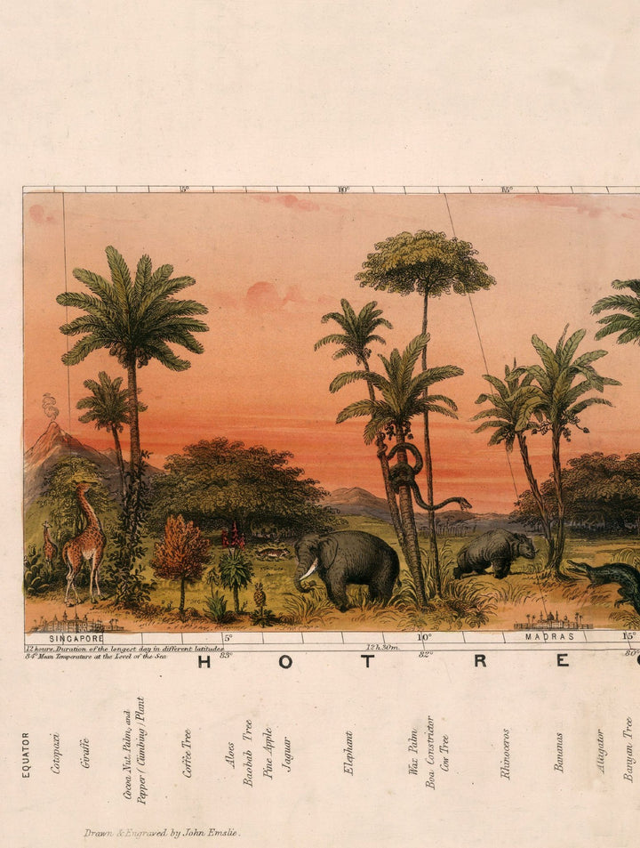 c.1852 View of Nature in all Climates - From the Equator to the Arctic Circle - TheArtistsQuarter