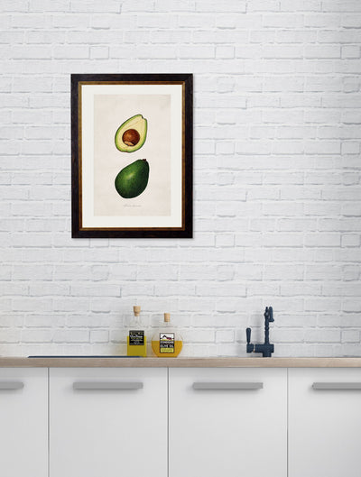 C.1886 STUDY OF AVOCADOS - TheArtistsQuarter