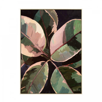 Ficus By Asia Jensen *NEW* - TheArtistsQuarter