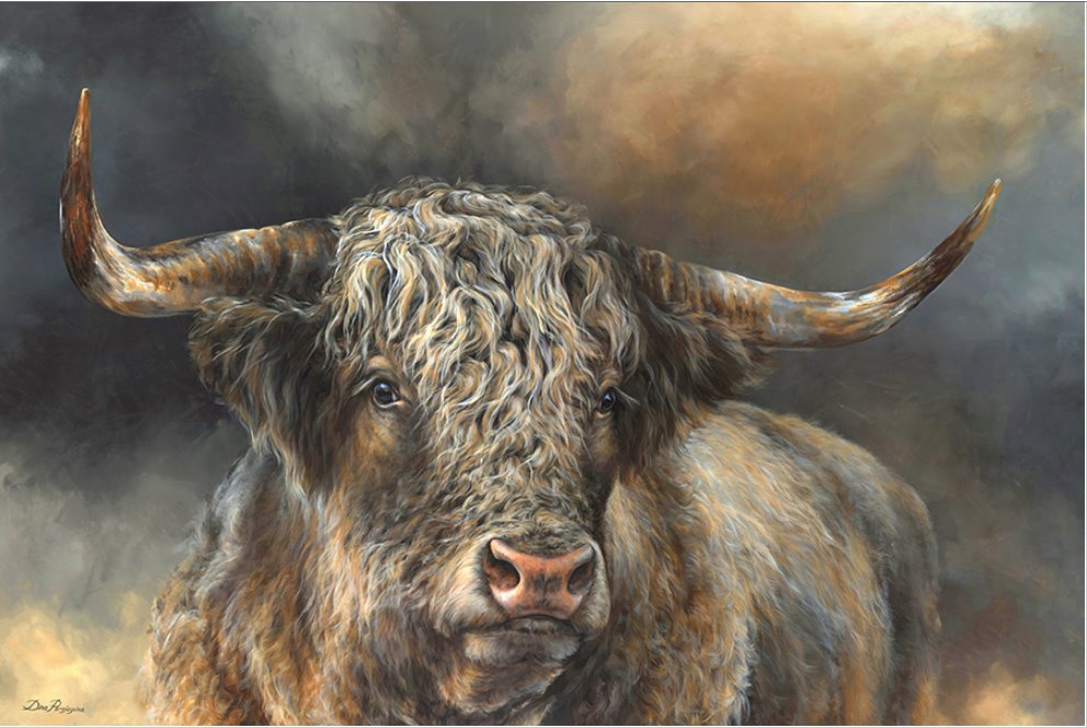 Grand Kyloe Bull By Dina Perejogina - TheArtistsQuarter