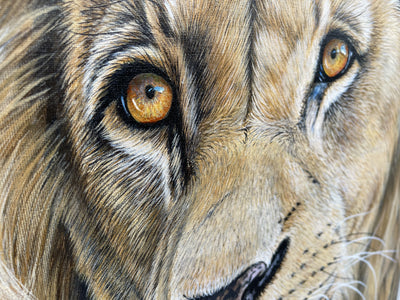 Lion By Sophie Kilpatrick (Original) - TheArtistsQuarter