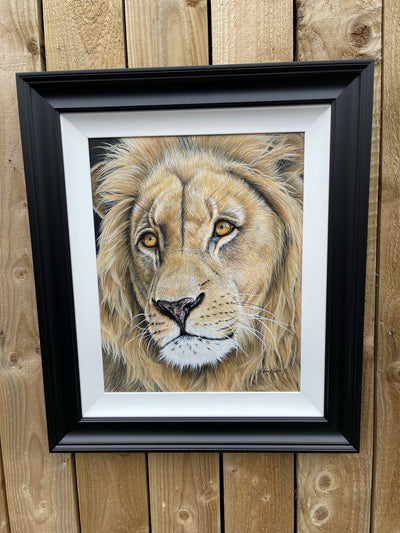 Lion By Sophie Kilpatrick (Original) - TheArtistsQuarter