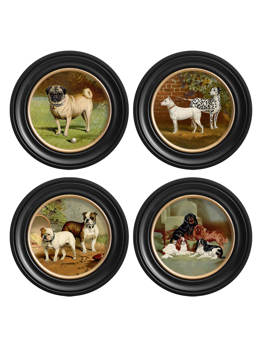 c.1881 Dogs - Round Frame - TheArtistsQuarter