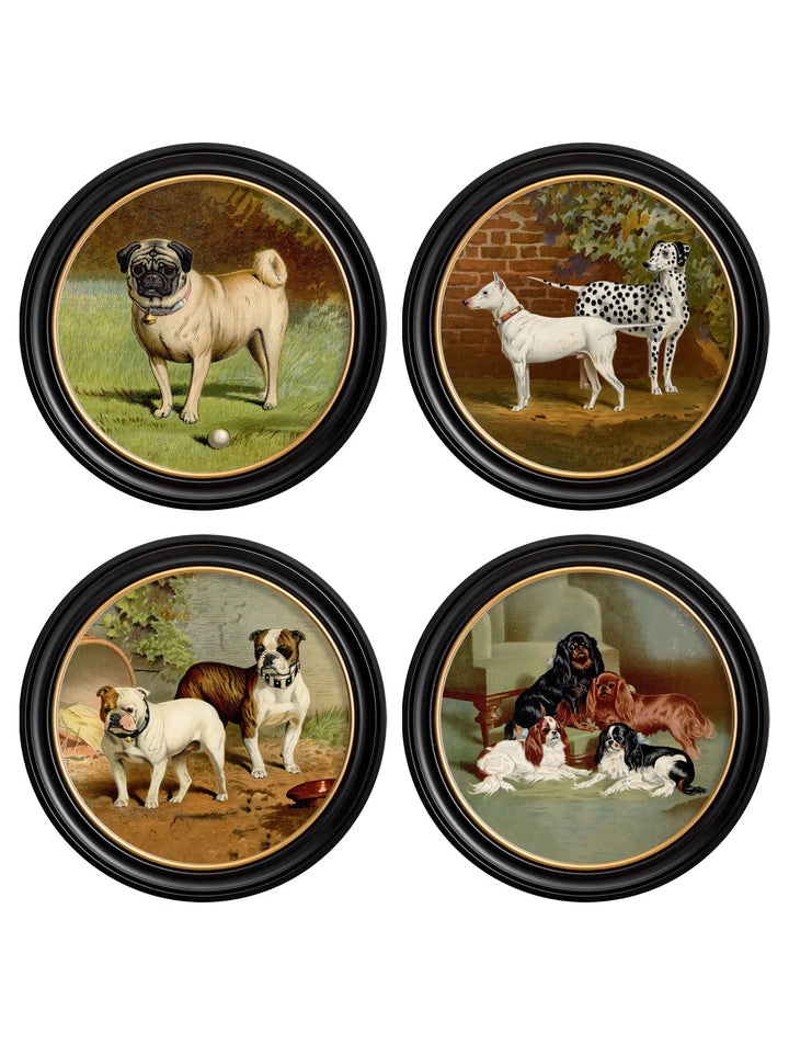 c.1881 Dogs - Round Frame - TheArtistsQuarter