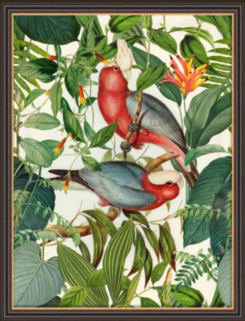 Tropical Jungle Birds By Andrea Haase - TheArtistsQuarter