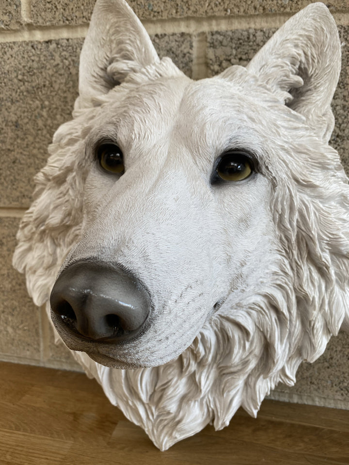 White Wolf Head - TheArtistsQuarter