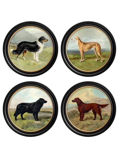 C.1881 WORKING DOGS - ROUND FRAME - TheArtistsQuarter